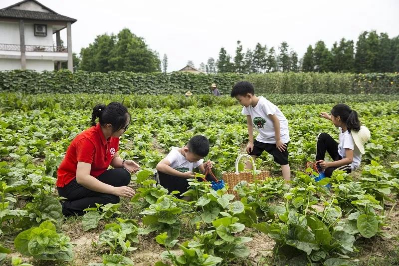 1561428377345736.jpg 微信图片_20190625094340.jpg